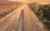 My Camino de Santiago