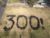 Hennessy and St Mary’s celebrate Nano’s 300th