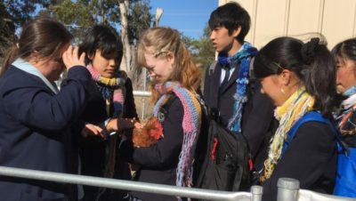 Shibetsu High School students visit Trinity, Goulburn