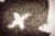 Utah school apologises after student forced to remove Lenten ashes 