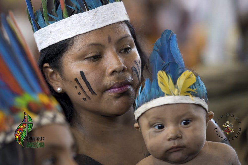 Querida Amazonia offers guidance and challenge for Australia - Catholic ...