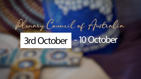 The Plenary Council Assembly: How far have we come?